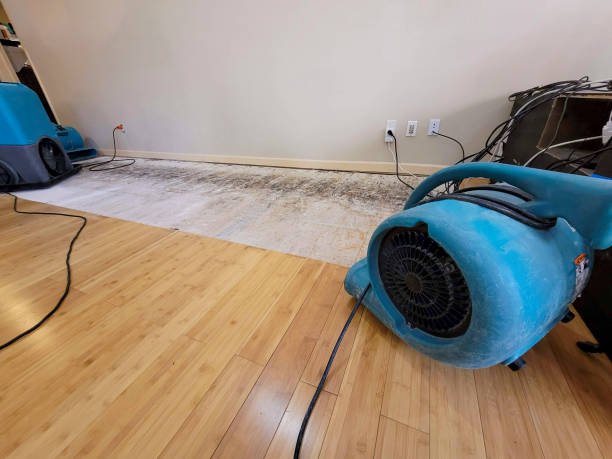 Professional Water Damage Repair technician working in Beallsville, PA